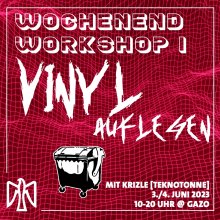 Vinyl auflegen