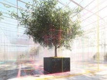 Anno Weihs | EDEN 2.0