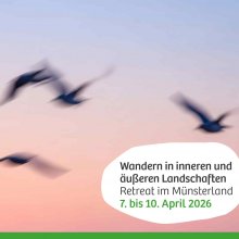 Wandern in inneren und äußeren Landschaften (Retreat). Dargestellt durch unscharf fotografierte Vögel im Flug (Foto: Shutterstock)