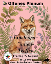Rosa Poster mit illustriertem Fuchs umramt von verschiednen Pflanzen wie Farn, Efeu, Eichel, Klee, darauf steht "Einsteiger*innen Treffen"