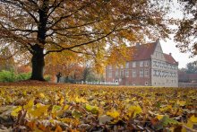 Burg Hülshoff durch einen Blätterwald