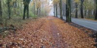 Die Veloroute zwischen Münster und Telgte im Herbst...