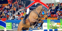 Ein Pferd muss über eine Barriere springen, der Reiter ist durchgestrichen und das Pferd weint eine Träne. Oben steht "Reitsport abschaffen" unten "Demo gegen den Agravis Cup, Halle Münsterland 11.1 13:00"