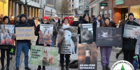Viele Menschen mit Bildern aus der Tierhaltung in der Innenstadt