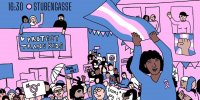 illustration of a demonstration of diverse audience in trans colors with flags and banners advocating for trans rights. above the text trans day of visibility crash the gender binary dienstag 31.03.2026 16:30 stubengasse