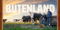 auf dem plakat wird werbung für eine filmvorführung mit dem Film "Butenland" gemacht. Zu sehen ist ein Foto von Kühen, Hunden und Menschen auf einer Wiese. Die Einladung ist vom Tierbefreiungstreff Münster
