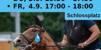 Plakat für Demo gegen Turnier der Sieger auf hellblauen hintergrund. Auf der unteren Hälfte ist ein Pferd zu sehen, welches beritten wird. Die Zügel werden gezogen und der Mund ist weit geöffnet. Es ist zu sehen, dass das Pferd leidet.